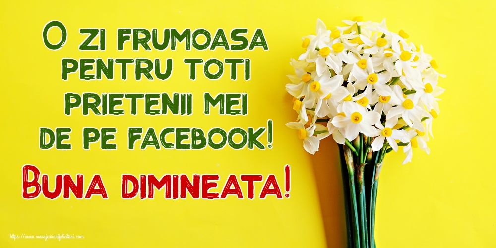 Felicitari de buna dimineata - O zi frumoasa pentru toti prietenii mei de pe facebook! Buna dimineata! - mesajeurarifelicitari.com