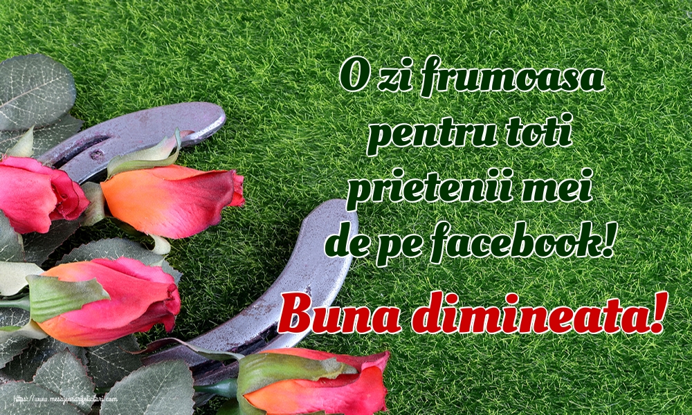 Felicitari de buna dimineata - O zi frumoasa pentru toti prietenii mei de pe facebook! Buna dimineata! - mesajeurarifelicitari.com