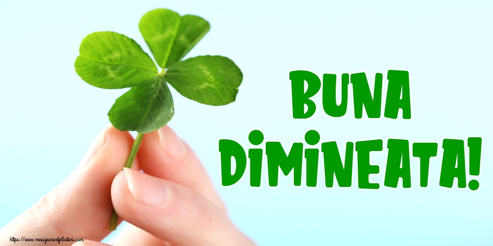 Felicitari de buna dimineata - Buna Dimineata! - mesajeurarifelicitari.com