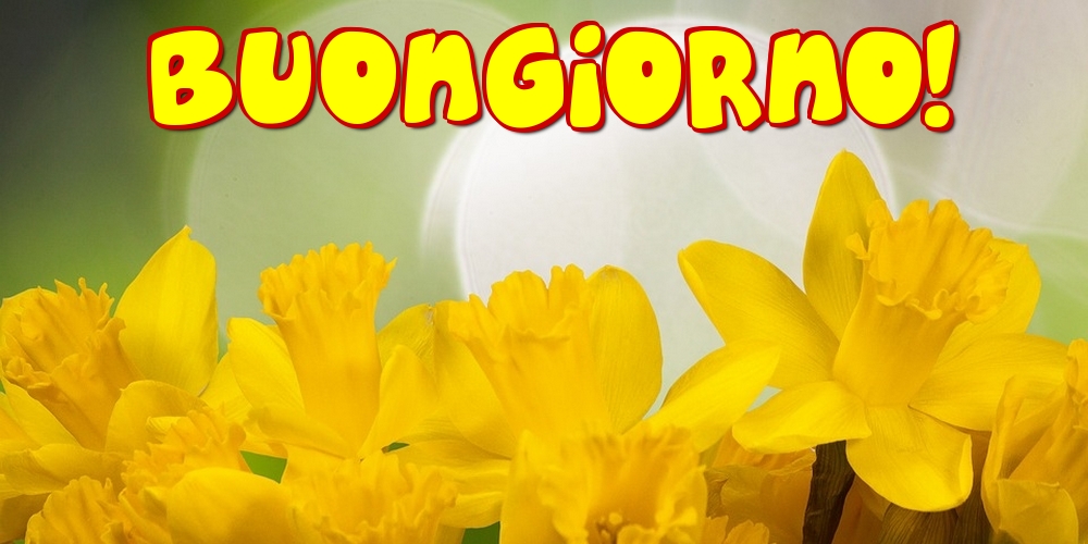 Felicitari de buna dimineata - Buongiorno! - mesajeurarifelicitari.com