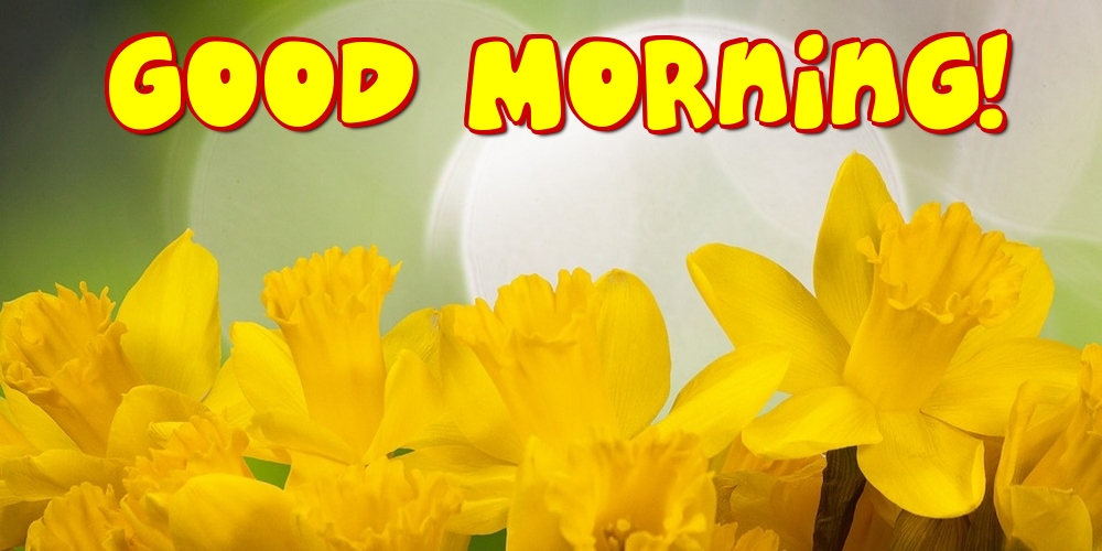 Felicitari de buna dimineata in Engleza - Good Morning!