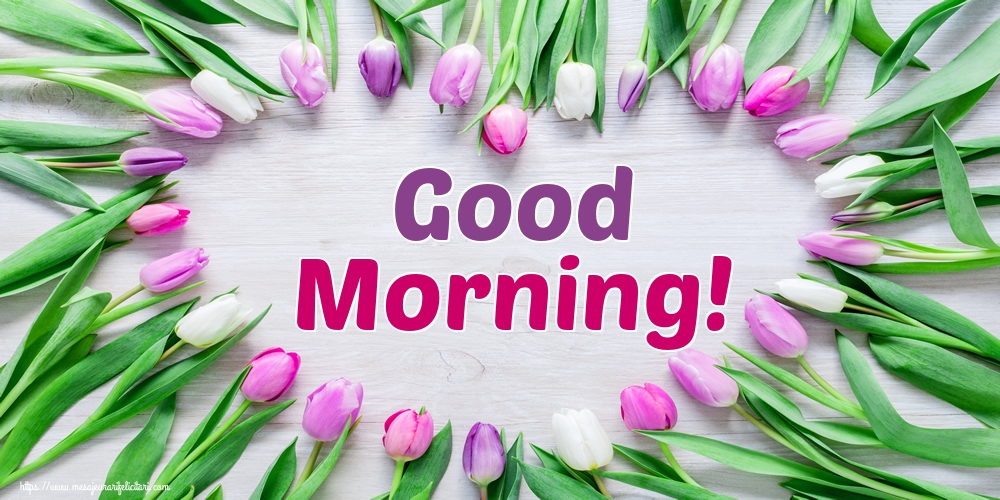 Felicitari de buna dimineata in Engleza - Good Morning!