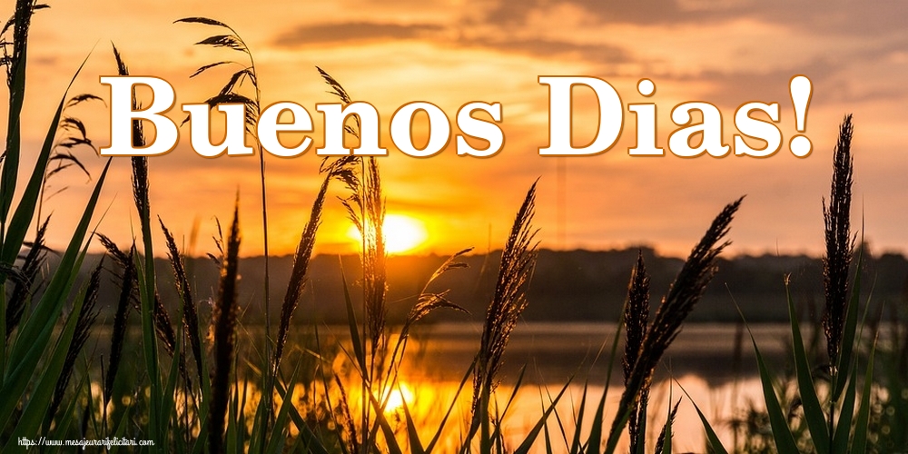 Felicitari de buna dimineata - Buenos Dias! - mesajeurarifelicitari.com