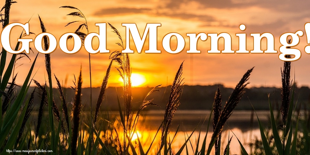 Felicitari de buna dimineata in Engleza - Good Morning!