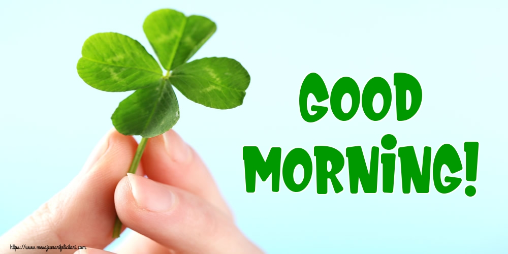 Felicitari de buna dimineata in Engleza - Good Morning!