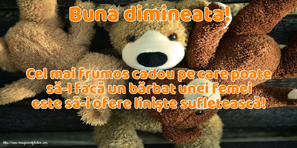 Buna dimineata Buna dimineata!