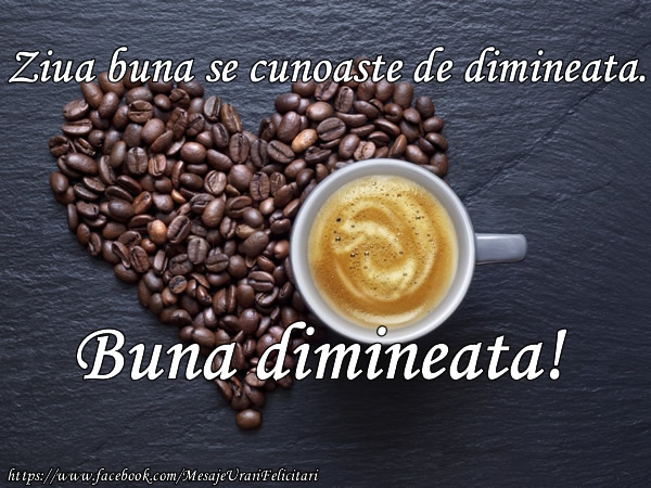 Ziua buna se cunoaste de dimineata! Buna dimineata!