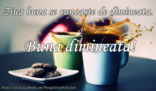 Ziua buna se cunoaste de dimineata! Buna dimineata!