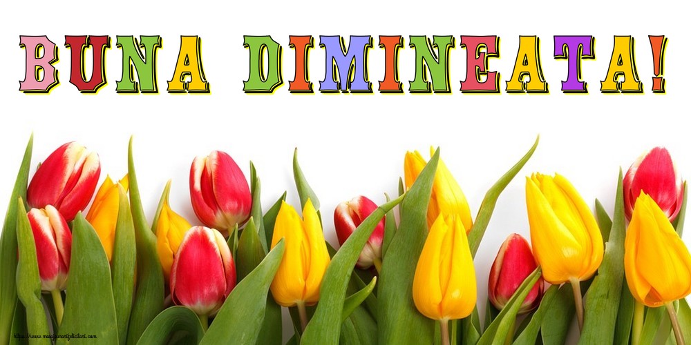 Buna dimineata!