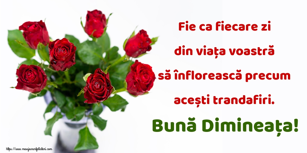 Fie ca fiecare zi din viața voastră să înflorească precum acești trandafiri. Bună Dimineața!