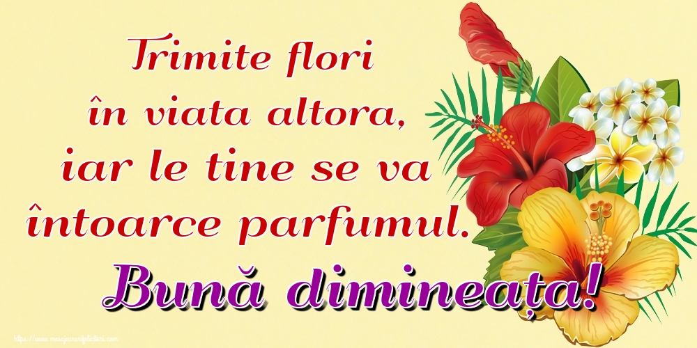 Trimite flori în viata altora, iar le tine se va întoarce parfumul. Bună dimineața!