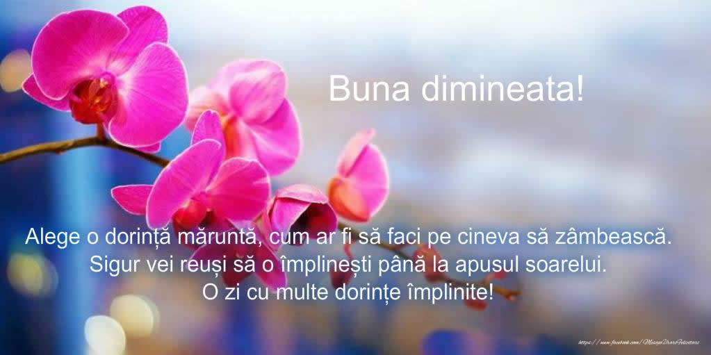 Buna dimineata!