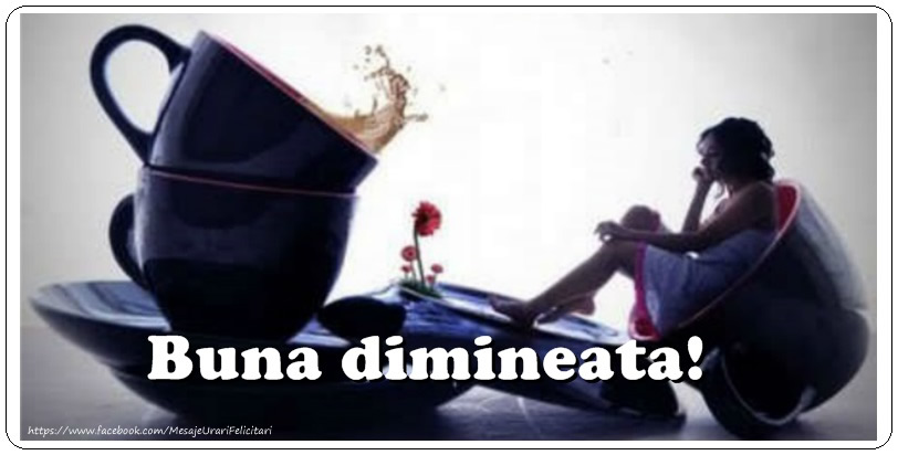 Buna dimineata!