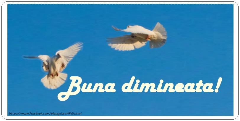 Buna dimineata!