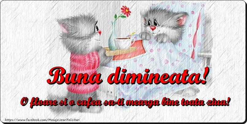 Buna dimineata! O floare si o cafea sa-ti mearga bine toate ziua!