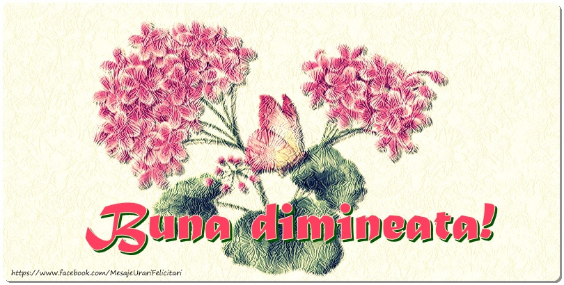 Buna dimineata!