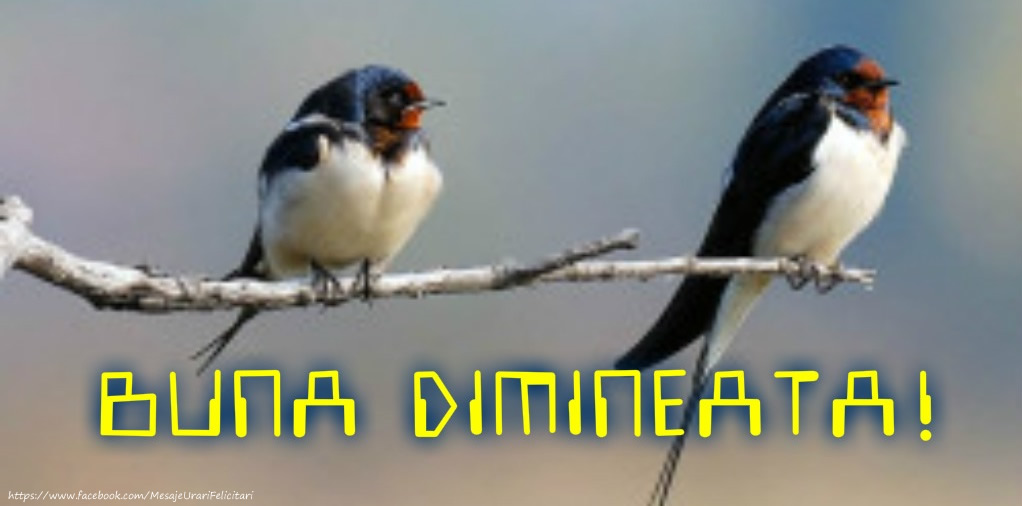 Buna dimineata!
