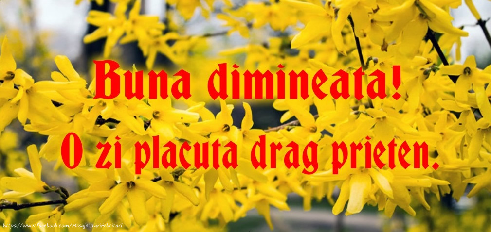 Buna dimineata! O zi placuta drag prieten