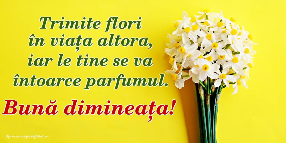Felicitari de buna dimineata - Trimite flori în viața altora, iar le tine se va întoarce parfumul. Bună dimineața! - mesajeurarifelicitari.com