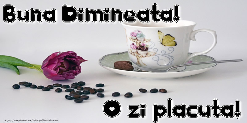 Buna dimineata! O zi placuta!