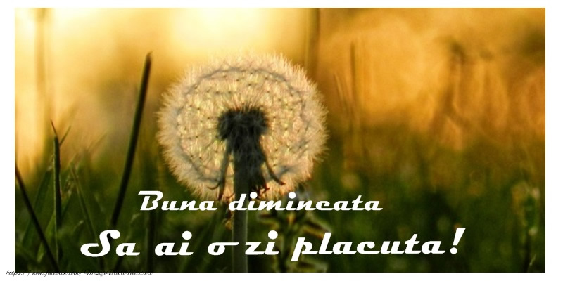 Buna dimineata Sa ai o zi placuta!