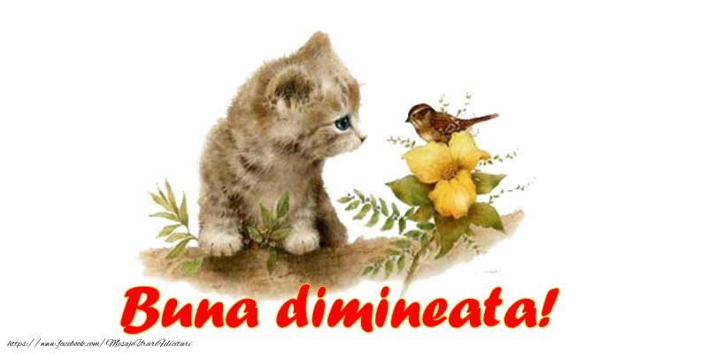 Buna dimineata!