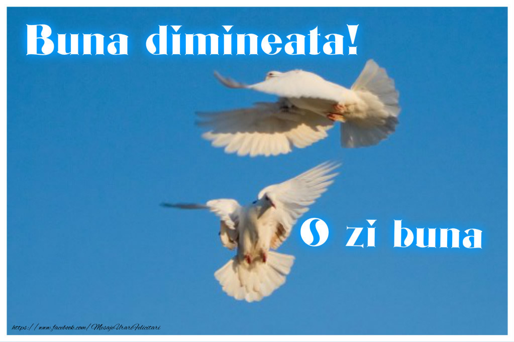 Buna dimineata! O zi buna