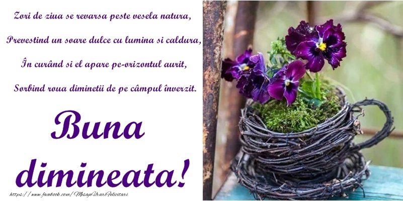 Poezie de buna dimineata!