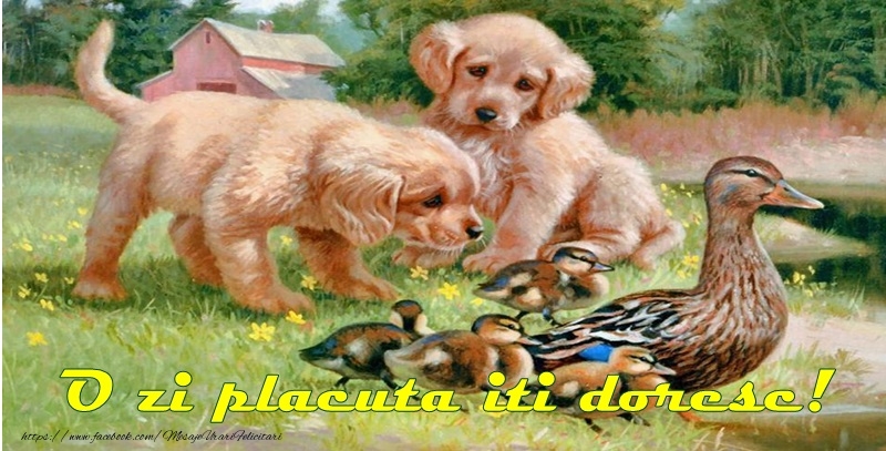 O zi placuta iti doresc!