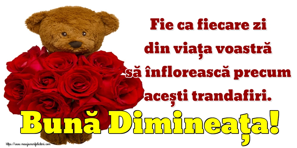 Fie ca fiecare zi din viața voastră să înflorească precum acești trandafiri. Bună Dimineața!