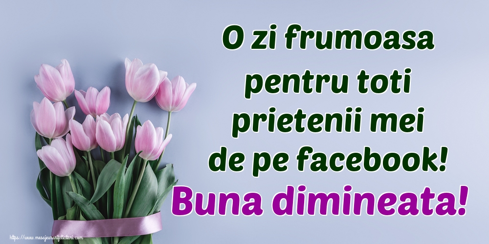 O zi frumoasa pentru toti prietenii mei de pe facebook! Buna dimineata!