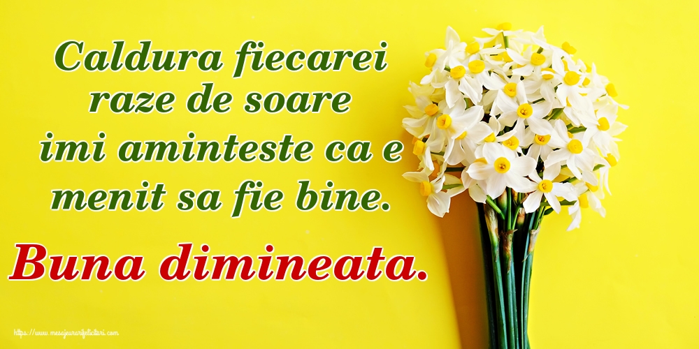 Felicitari de buna dimineata - Caldura fiecarei raze de soare imi aminteste ca e menit sa fie bine. Buna dimineata. - mesajeurarifelicitari.com