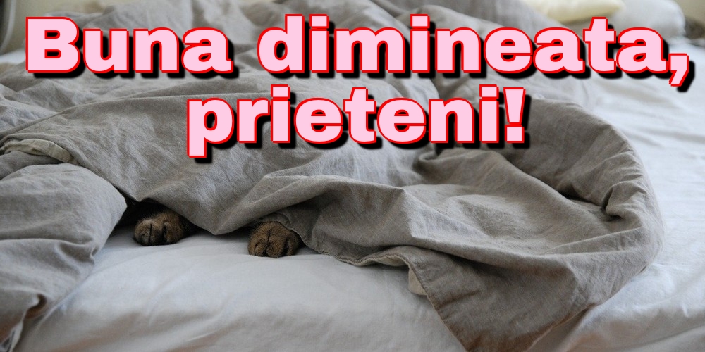 Felicitari de buna dimineata - Buna dimineata, prieteni! - mesajeurarifelicitari.com