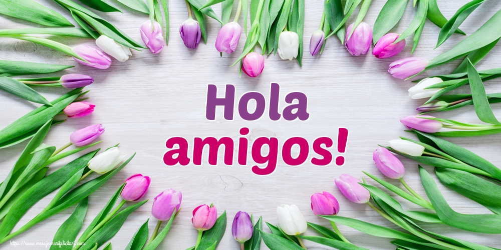 Felicitari de buna dimineata - Hola amigos! - mesajeurarifelicitari.com