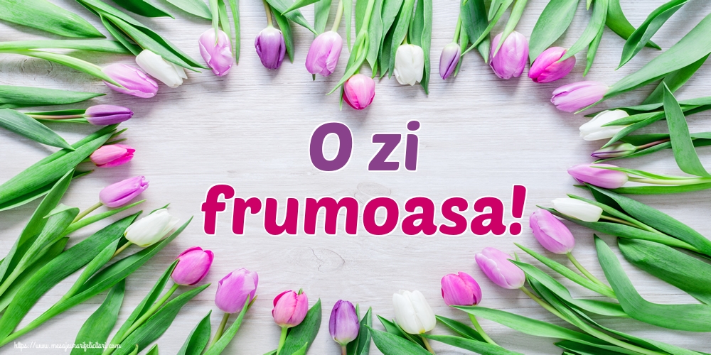 Felicitari de buna dimineata - O zi frumoasa! - mesajeurarifelicitari.com