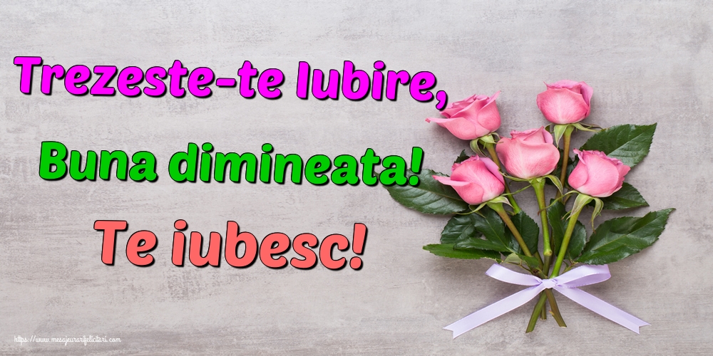 Felicitari de buna dimineata - Trezeste-te Iubire, Buna dimineata! Te iubesc! - mesajeurarifelicitari.com