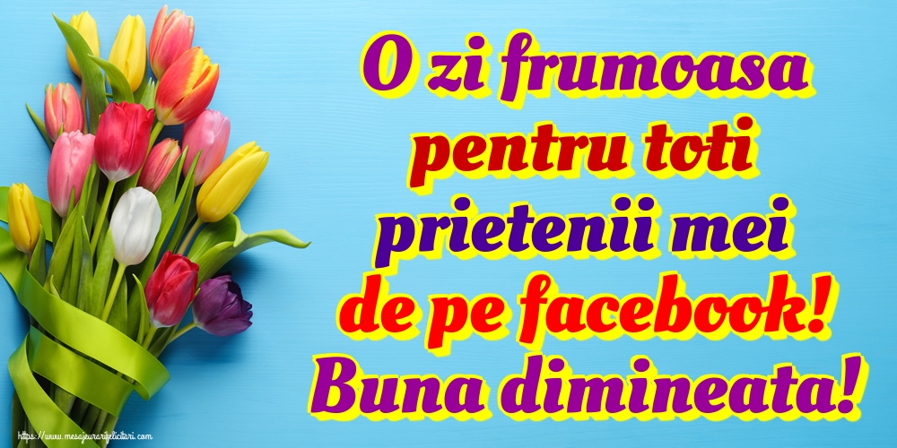 O zi frumoasa pentru toti prietenii mei de pe facebook! Buna dimineata!
