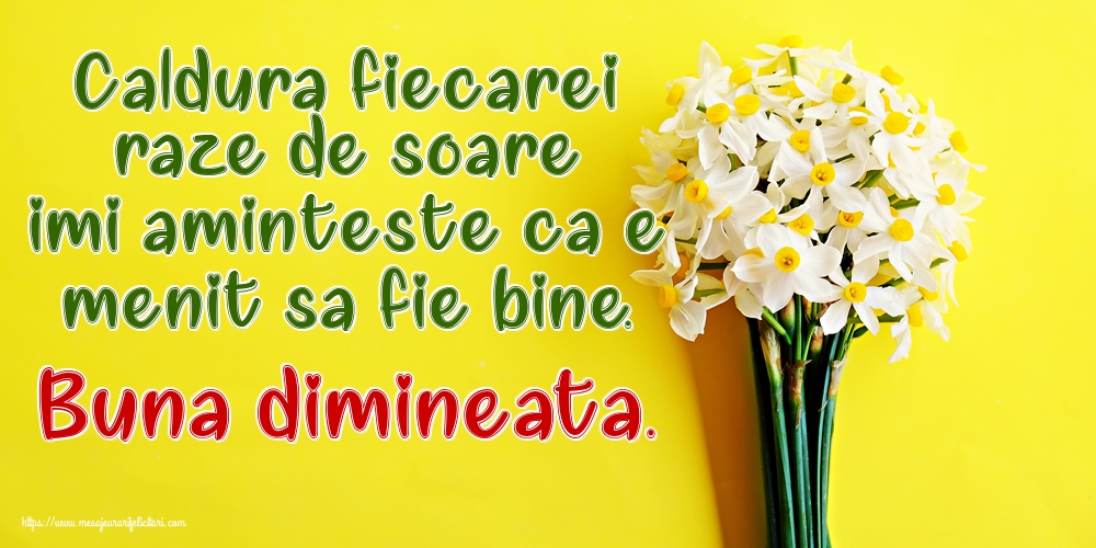 Felicitari de buna dimineata - Caldura fiecarei raze de soare imi aminteste ca e menit sa fie bine. Buna dimineata. - mesajeurarifelicitari.com