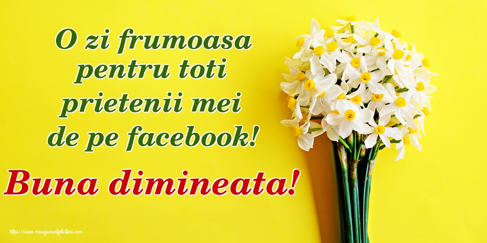 O zi frumoasa pentru toti prietenii mei de pe facebook! Buna dimineata!