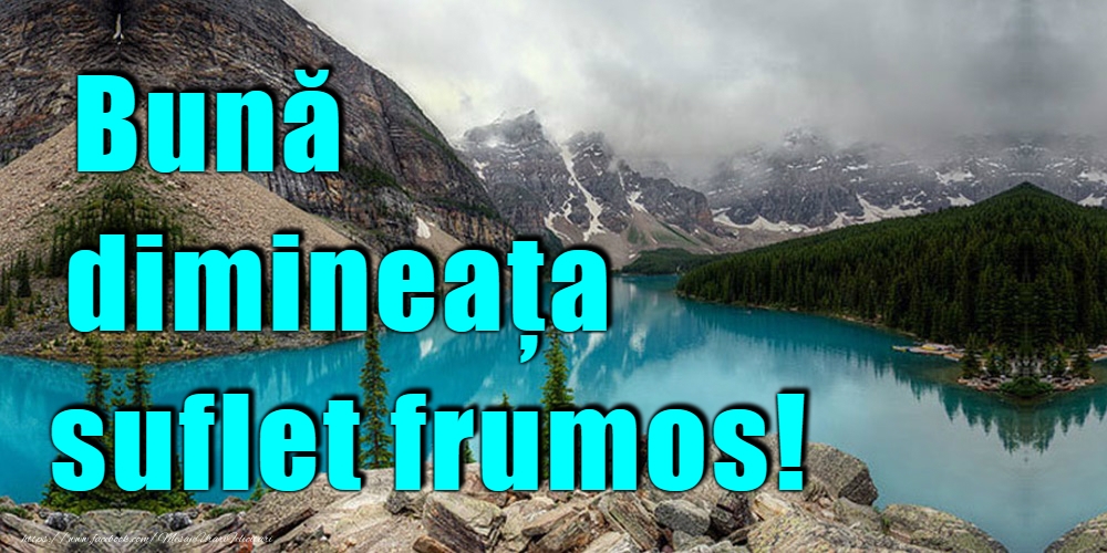 Felicitari de buna dimineata - Bună dimineața! - mesajeurarifelicitari.com