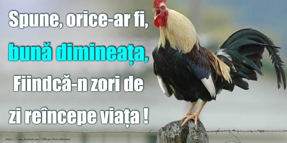 Felicitari de buna dimineata - Bună dimineața! - mesajeurarifelicitari.com