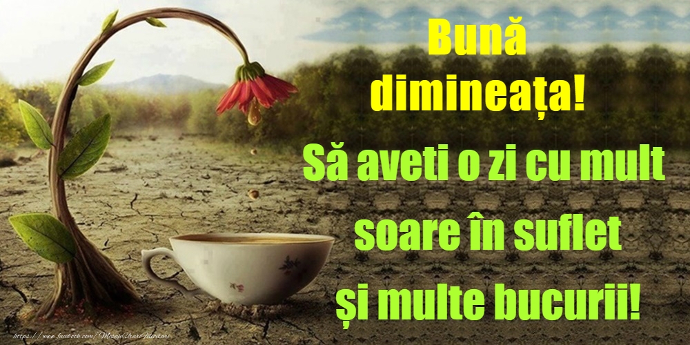 Bună dimineața!
