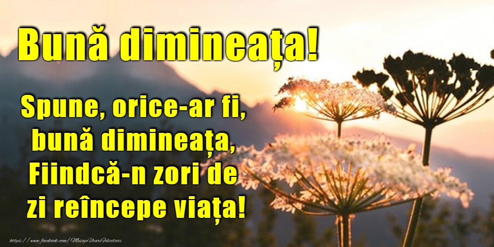 Felicitari de buna dimineata - Bună dimineața! - mesajeurarifelicitari.com