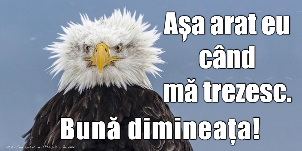 Bună dimineața!