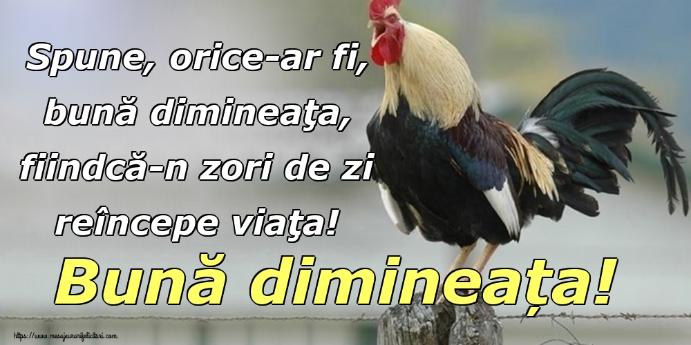 Spune, orice-ar fi, bună dimineaţa, fiindcă-n zori de zi reîncepe viaţa! Bună dimineața!