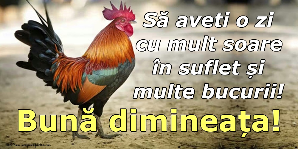 Să aveti o zi cu mult soare în suflet și multe bucurii! Bună dimineața!