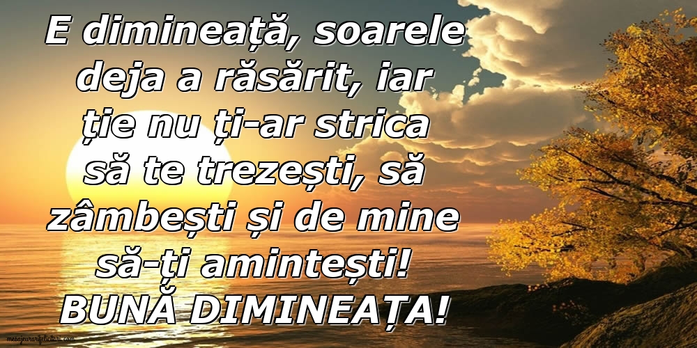 Felicitari de buna dimineata - Bună dimineața! - mesajeurarifelicitari.com