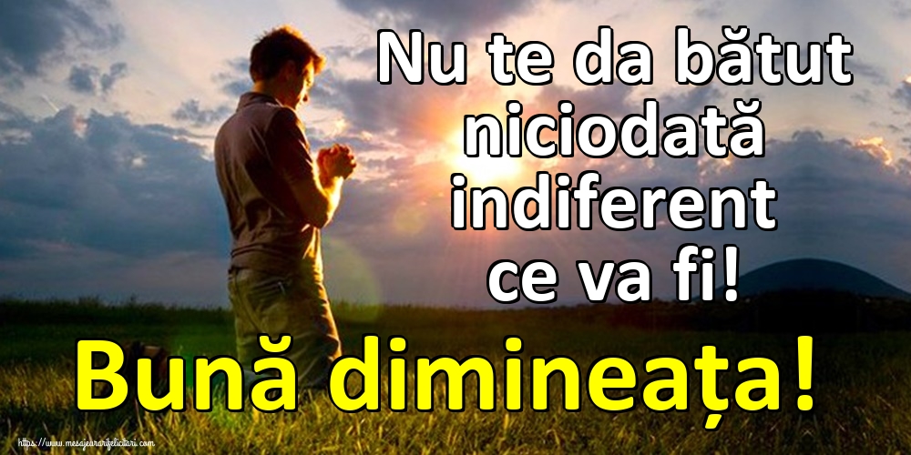 Felicitari de buna dimineata - Nu te da bătut niciodată indiferent ce va fi! Bună dimineața! - mesajeurarifelicitari.com