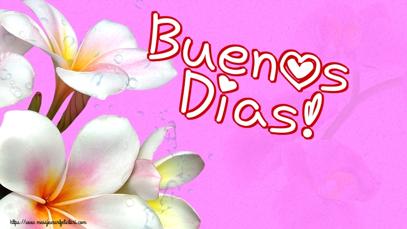 Buna dimineata Buenos Dias!