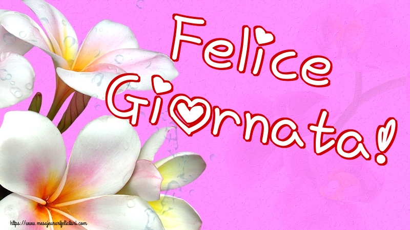 Buna dimineata Felice Giornata!